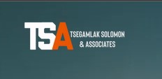 Tsegamlak Solomon & Associates Law Office