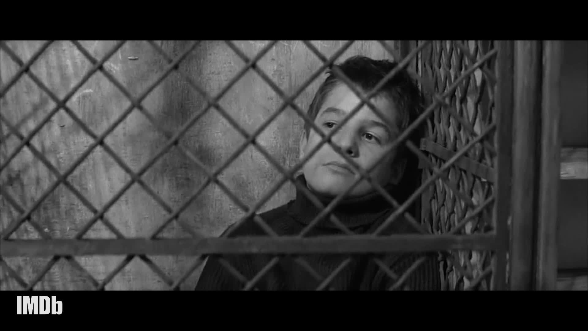 The 400 blows