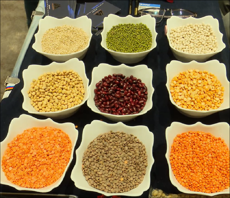 Foreign Companies Desirous of Increasing Imports of Pulses, Oilseeds from Ethiopia