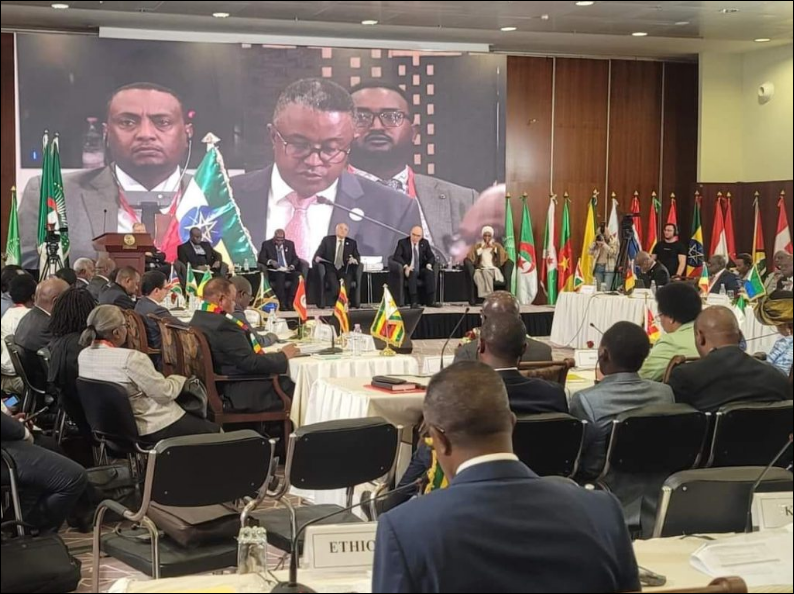 Ethiopia Partakes at 10th Annual High Level Seminar on Peace and Security