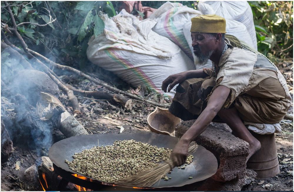 Around The World With Coffee: 6 Places To Visit For The Ultimate Coffee And Experiences