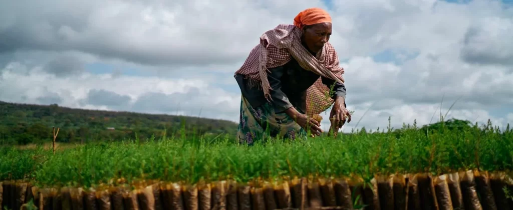 African Development Fund grants $46 million to improve access to water and sanitation for pastoral communities in the Borana region