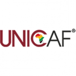 UNICAF Online Scholarship Program 2024-25 for International Students