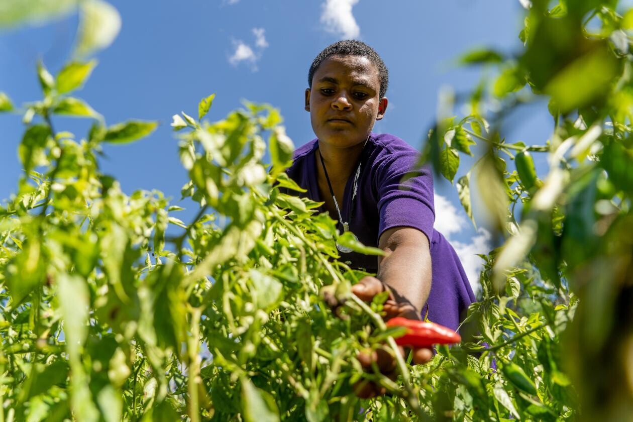 Water inequity lessons from Ethiopia’s Tana Watershed