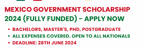 Mexico Government Scholarship 2024