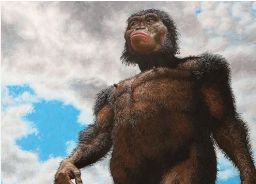 How the Famous Lucy Fossil Revolutionized the Study of Human Origins